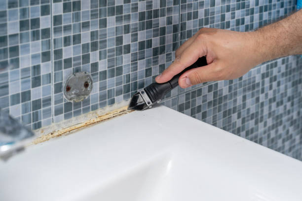 Best Black Mold Removal  in Rib Mountain, WI